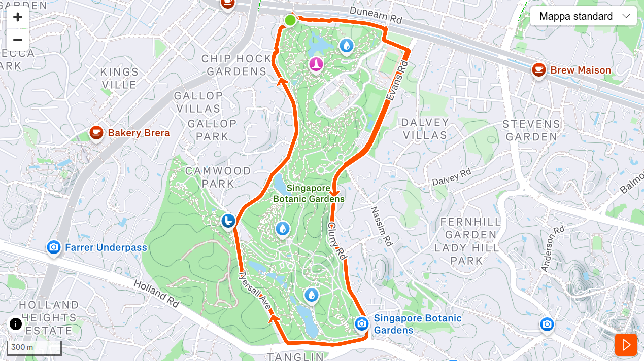 Singapore Botanic Gardens Loop